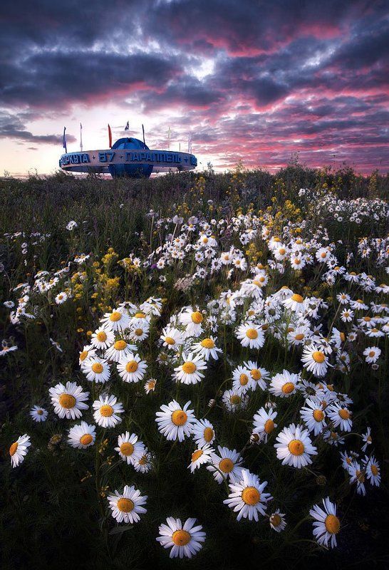vorkuta, воркута НЛО на ромашковом поле фото превью