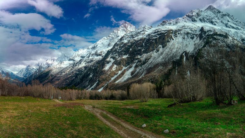 Прекрасная Белалакая фото превью