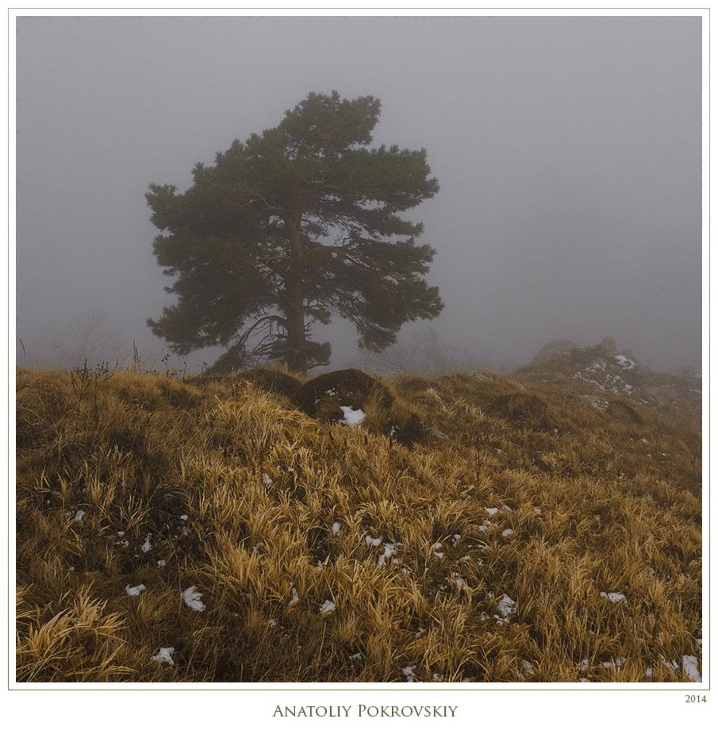Анатолий покровский, Зима, Крым, Облака, Сосна, Травы, Туман, Анатолий Покровский