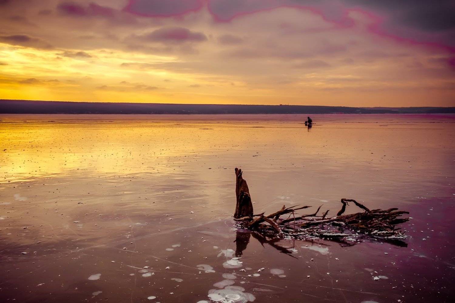 , Дмитрий Тимошин