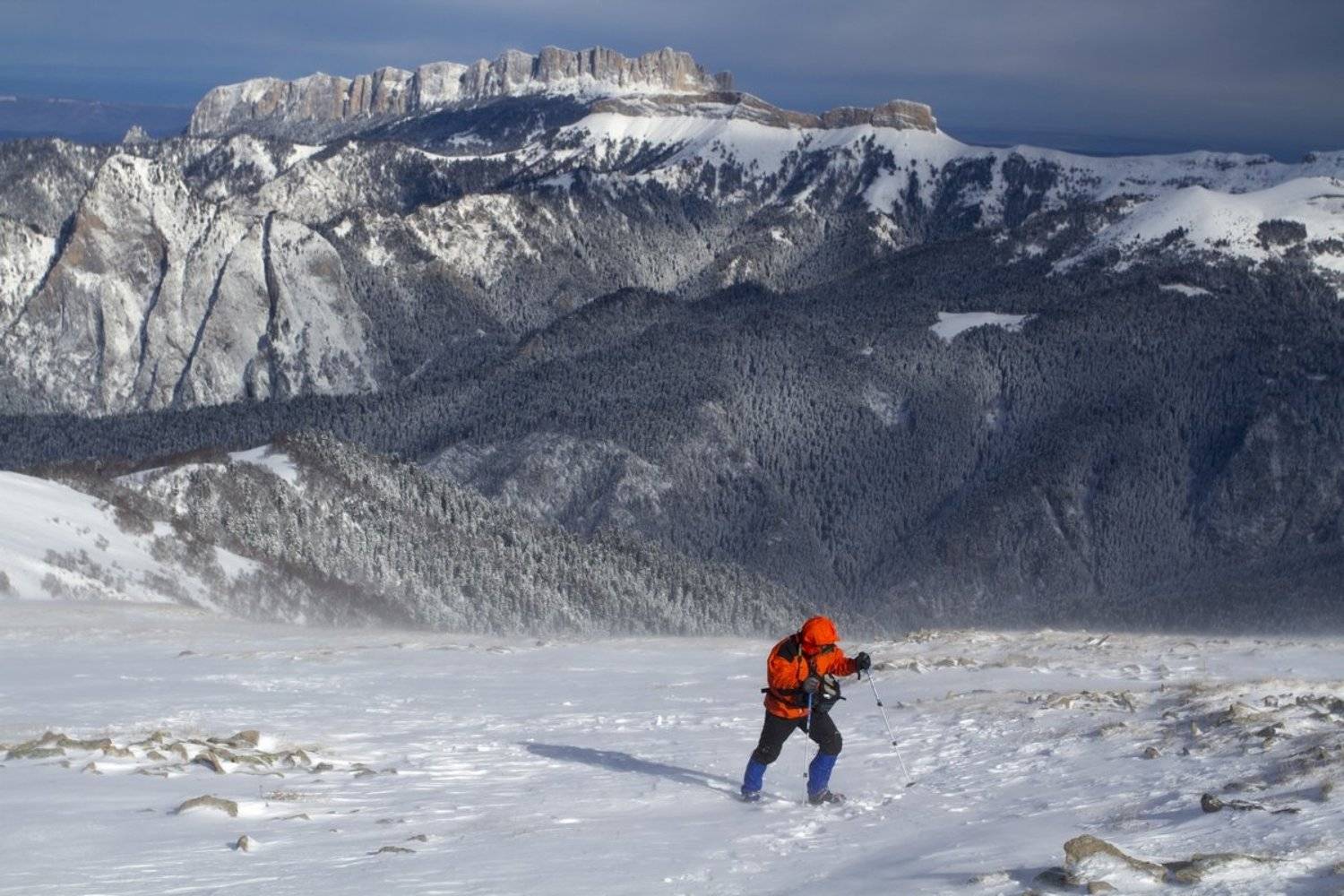 , Александр Перевозов