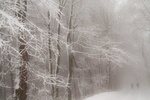 Just admire the silence