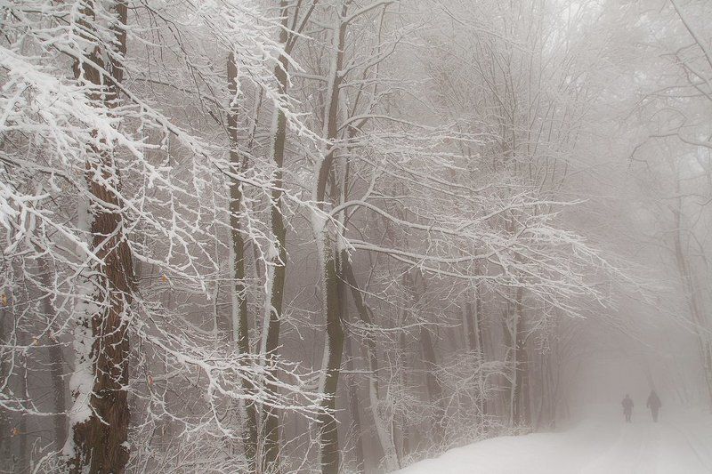 Just admire the silence фото превью