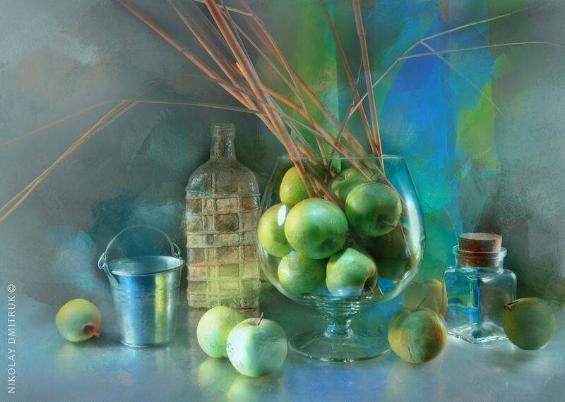 , николай дмитрук