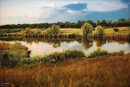Мечта рыбака