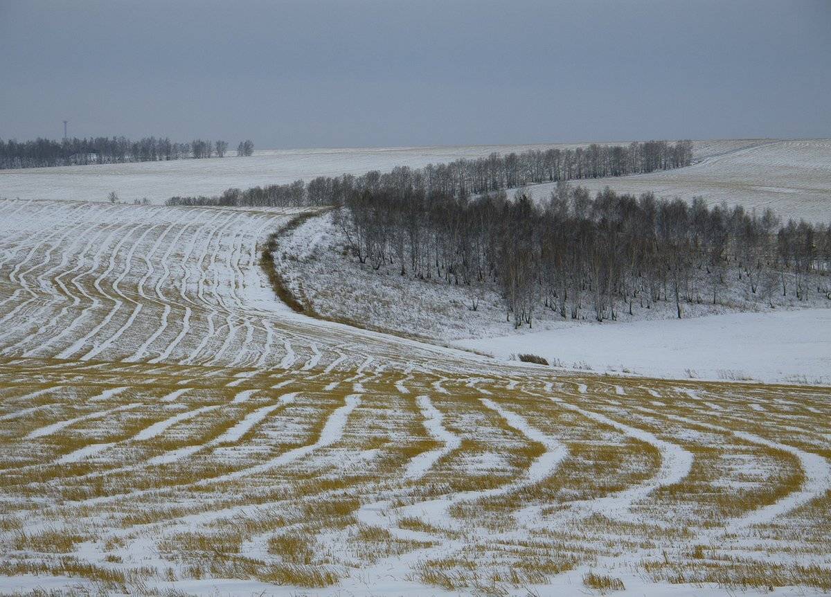 , Николай Морский