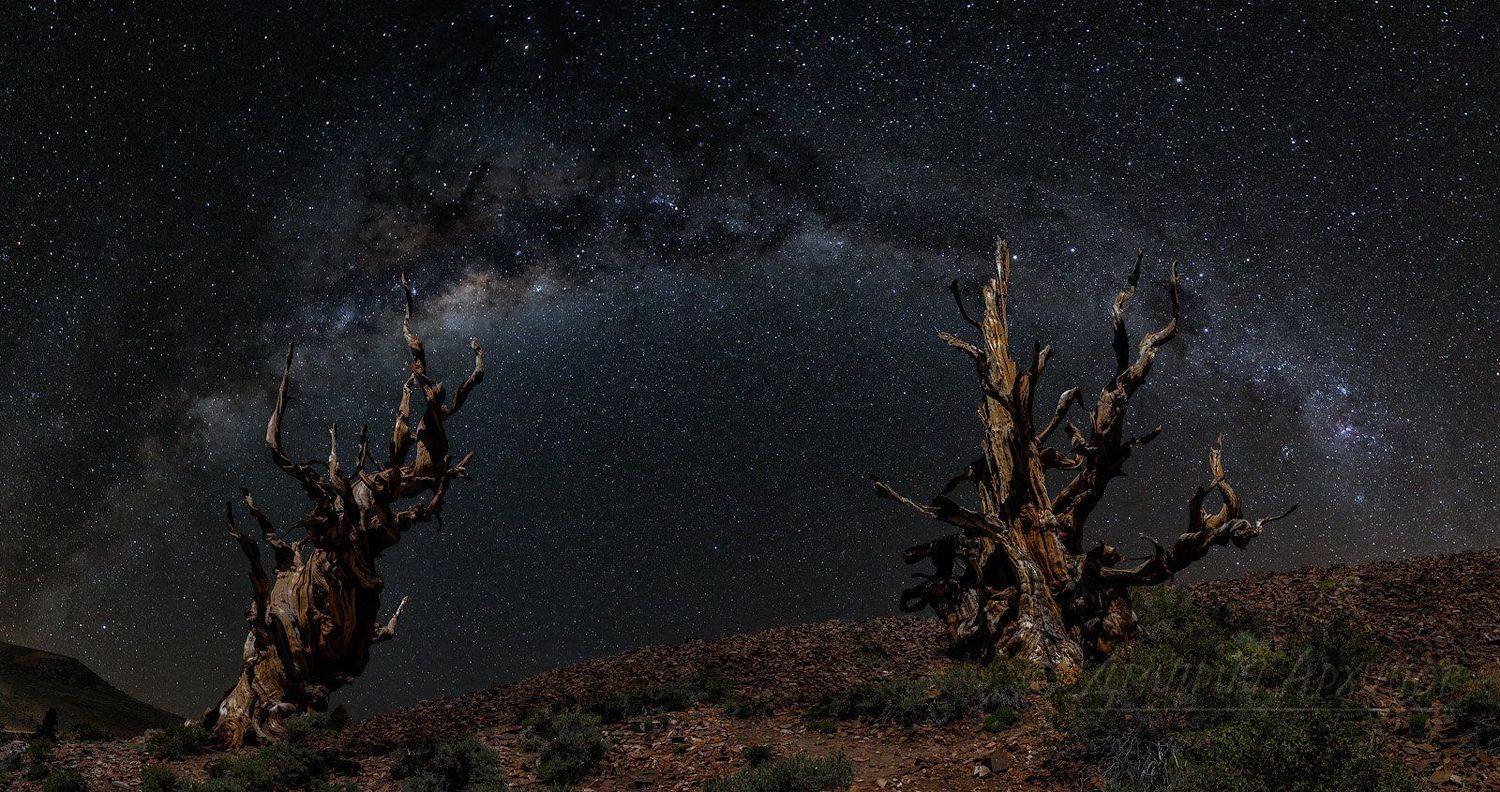 , Дмитрий Архипов