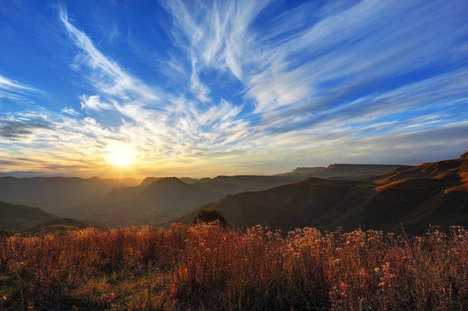 , Александр Свиркин