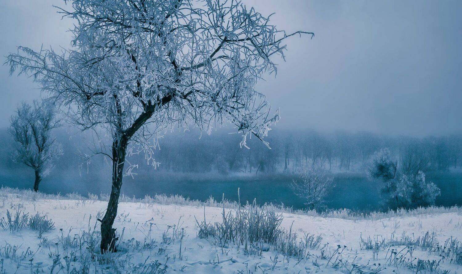 , Игорь Мелекесцев