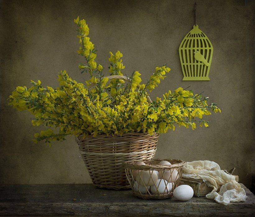 , Петрова Татьяна