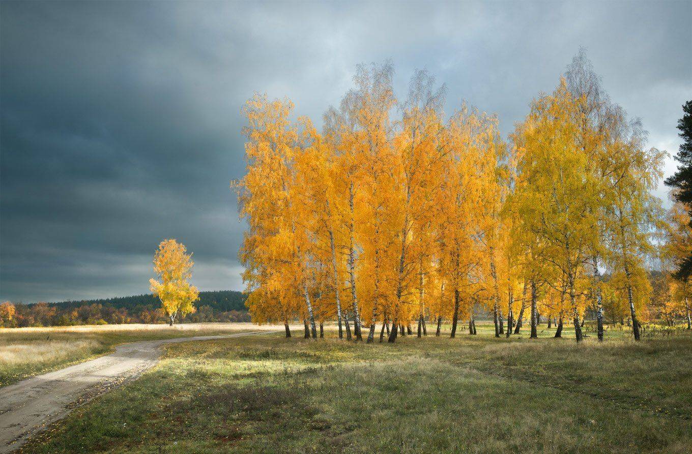 , Владимир Ляпин