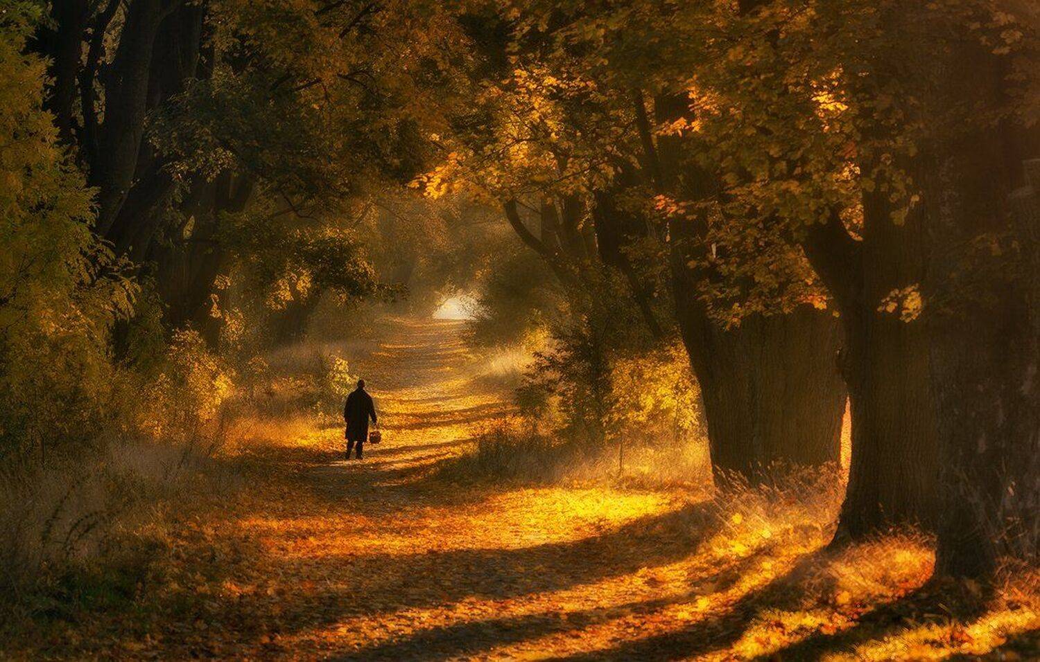 Poland, Uchorczak, Pawel Uchorczak