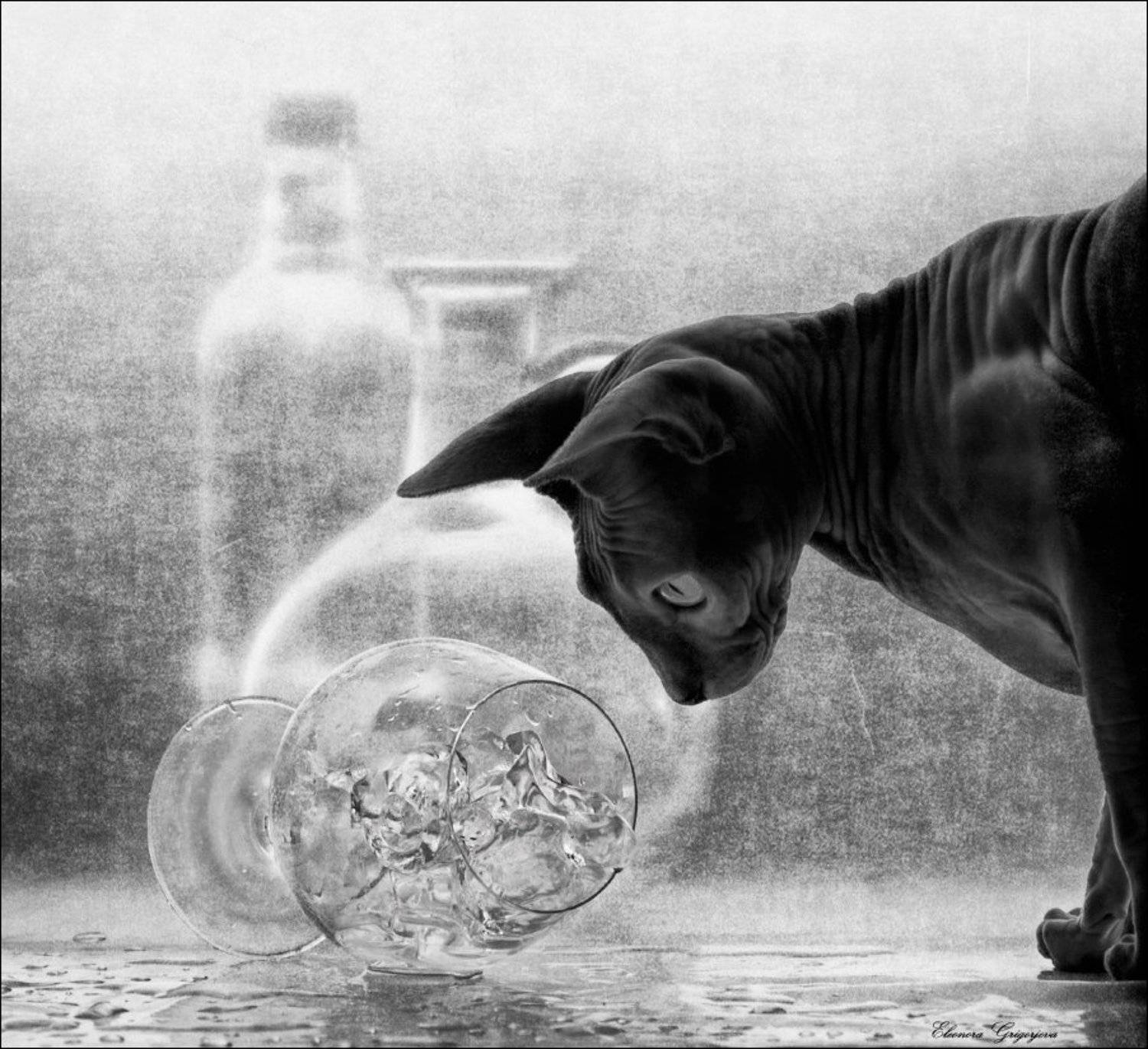 , Eleonora Grigorjeva