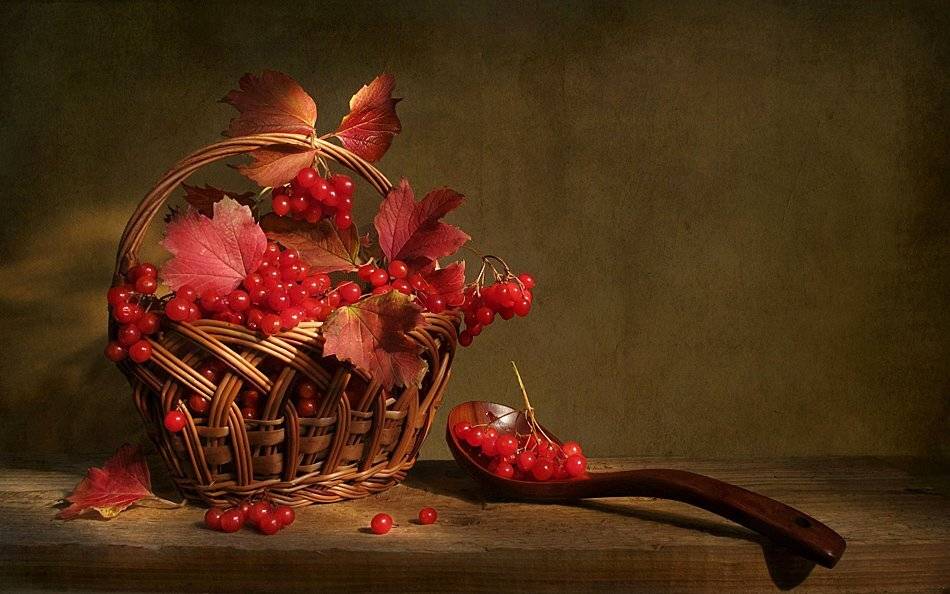 , Алла Шевченко