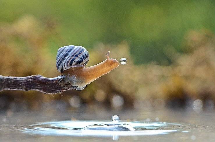 , Вячеслав Мищенко