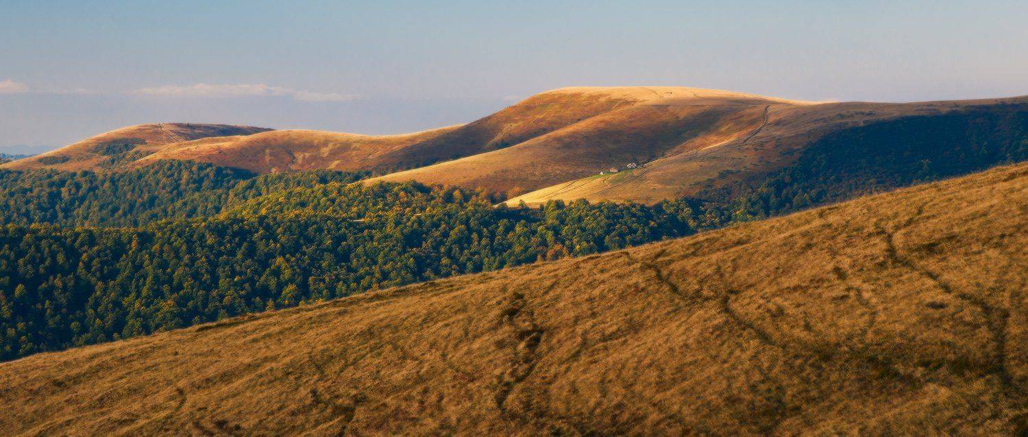 , Ярослав Тюрменко (Jaremi)