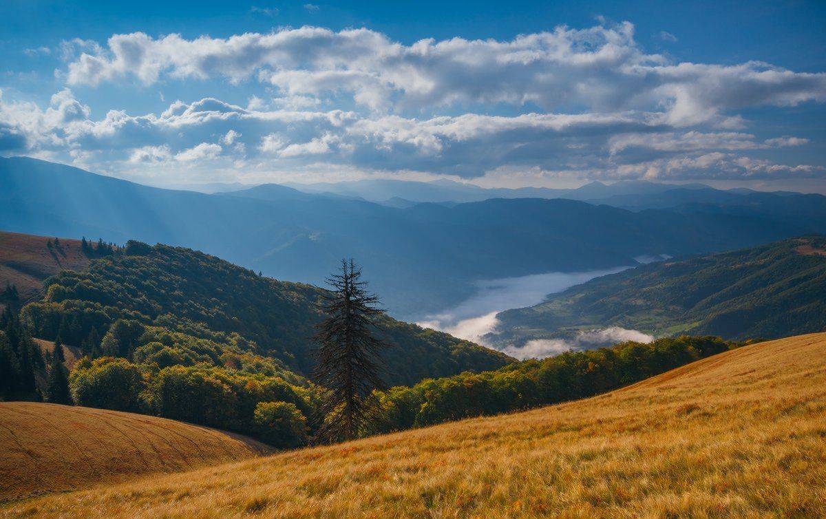 , Ярослав Тюрменко (Jaremi)