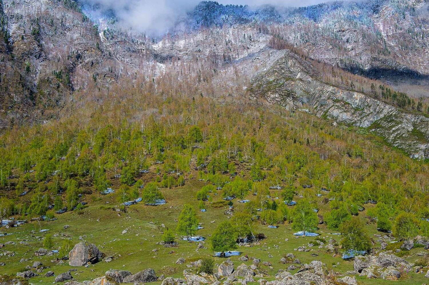 , Орлов Михаил