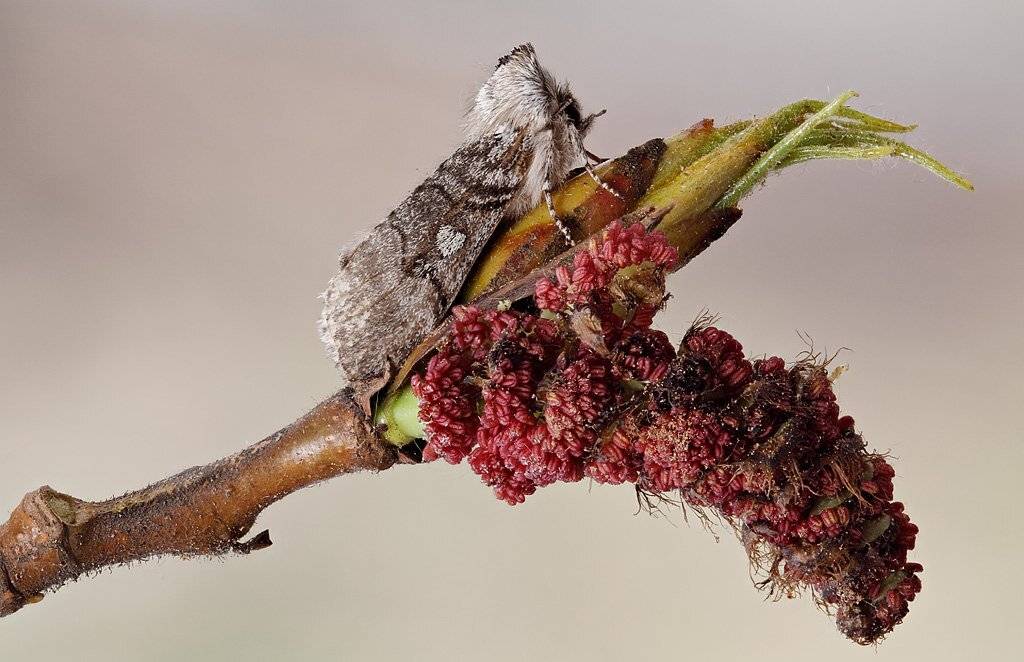 , Сергей Таланов