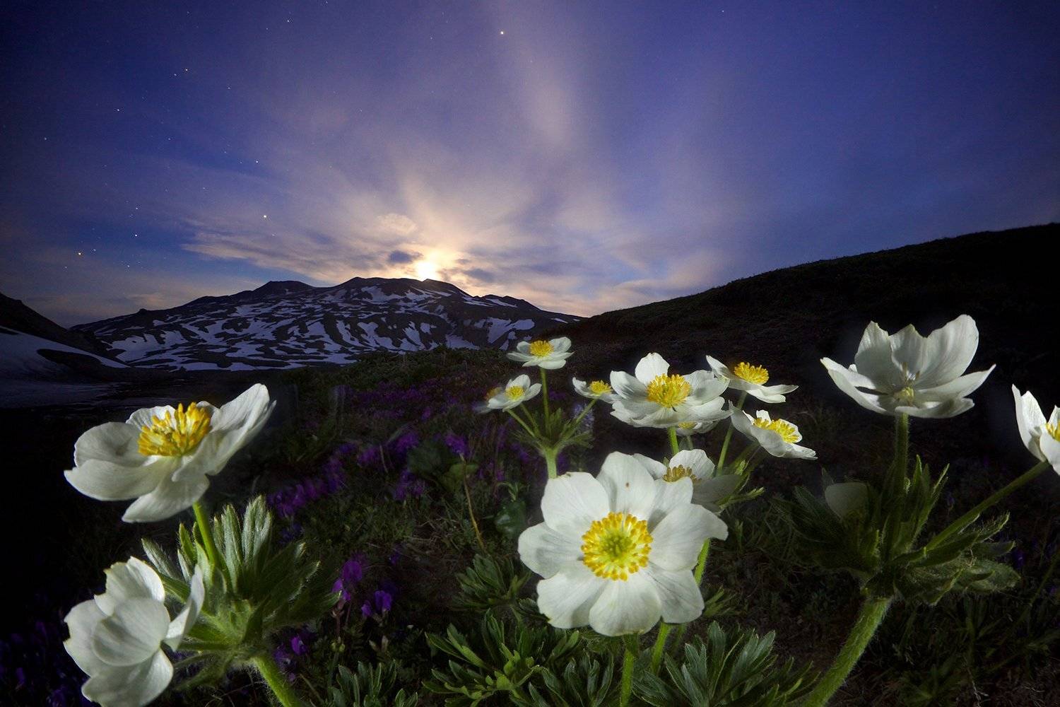 , Никифоров Егор