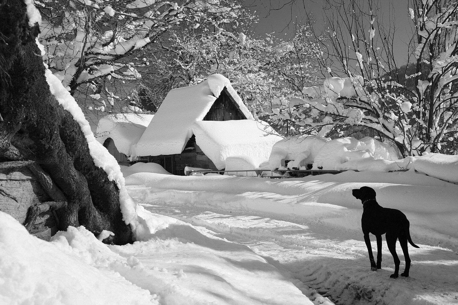 , Евгений Никишин