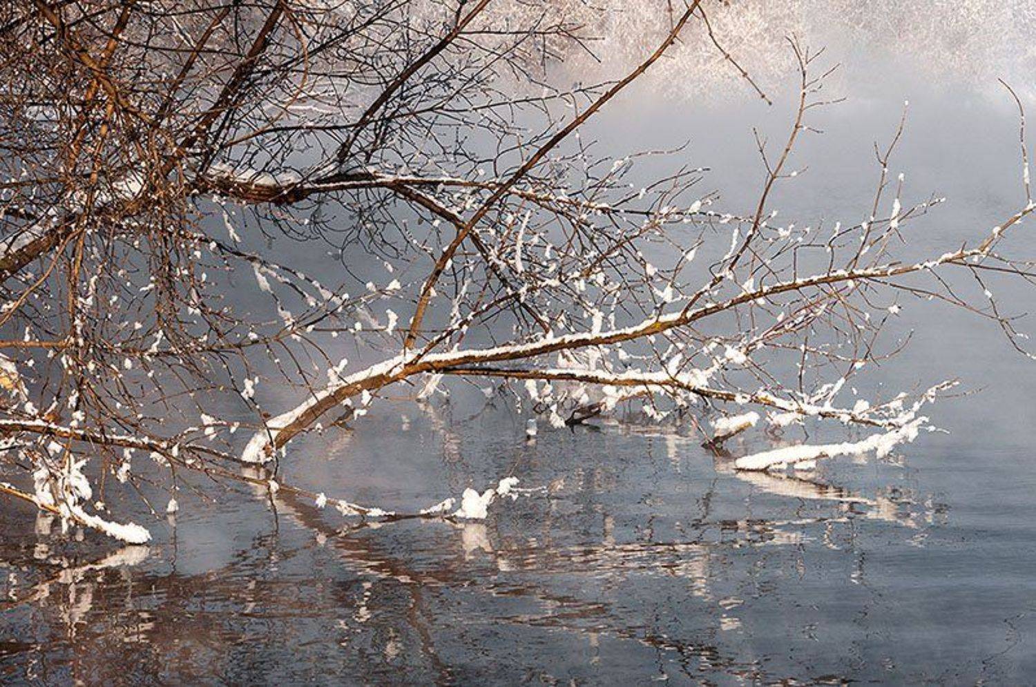 , Анатолий Зверев