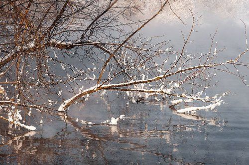 Зимнее настроение