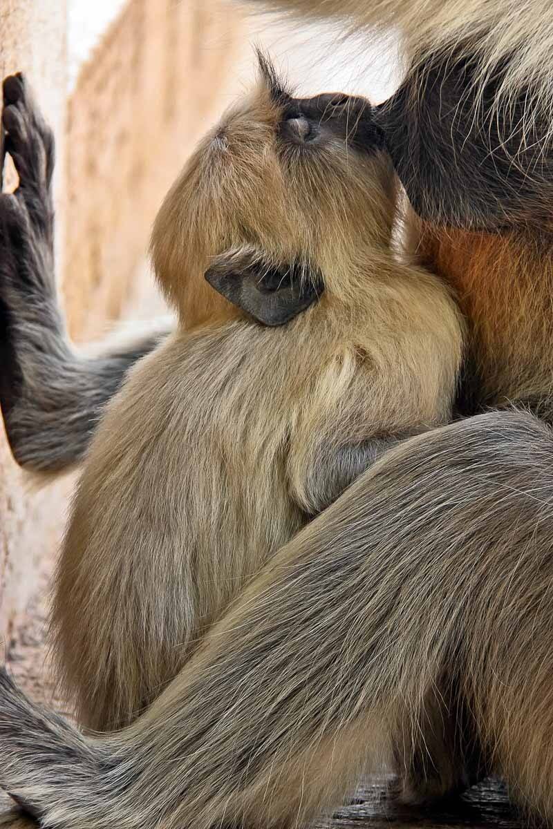 , Сергей Козинцев