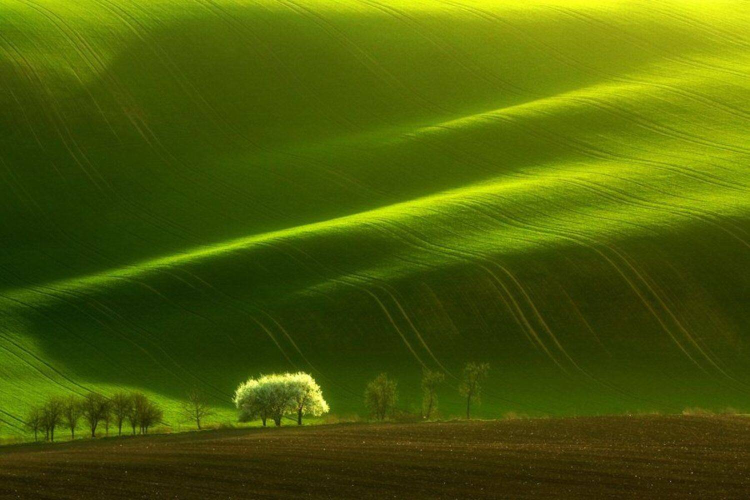 , Marcin Sobas