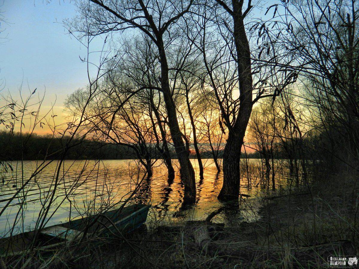 , Александр Индыло