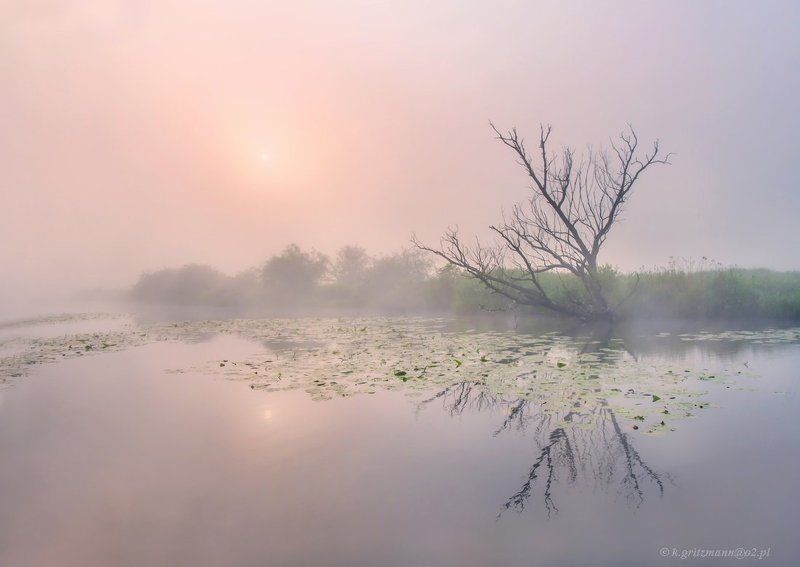 colors of the morning фото превью