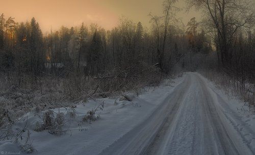 И дым Отечества нам сладок и приятен...