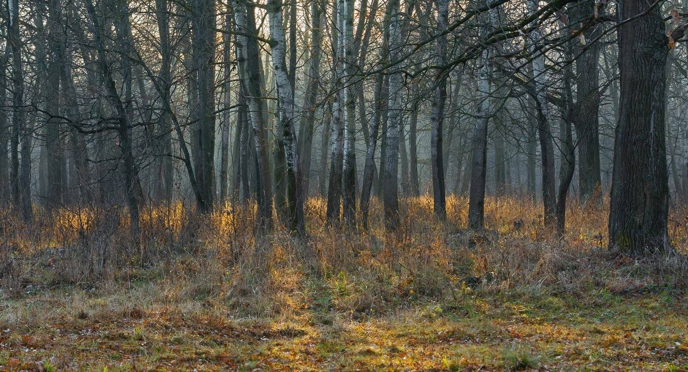 , Руслан Сигушин