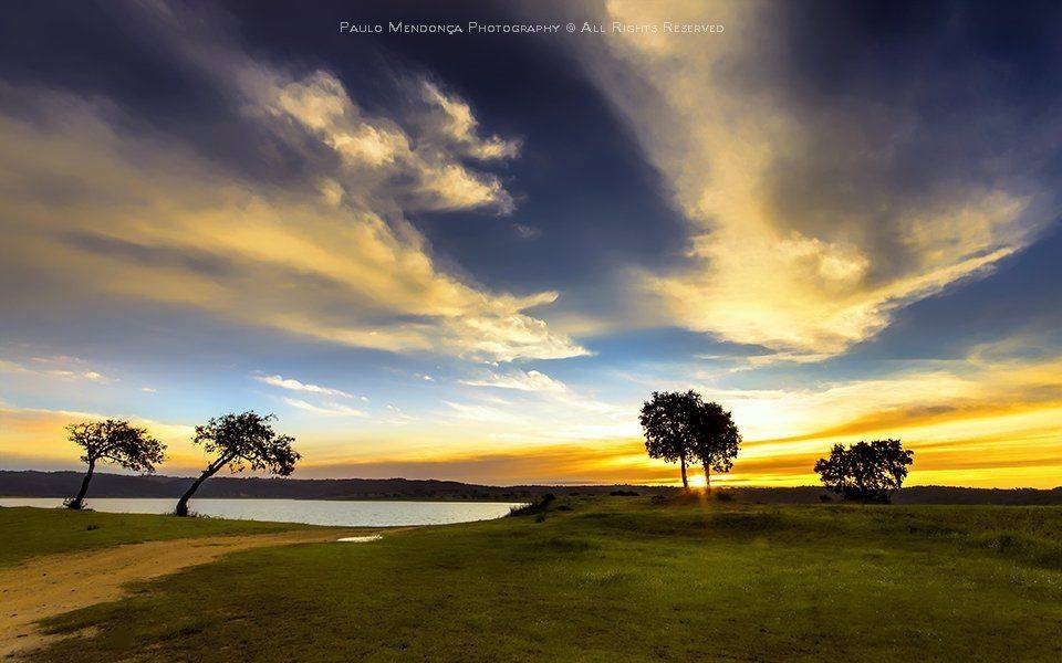 , Paulo Mendon&ccedil;a