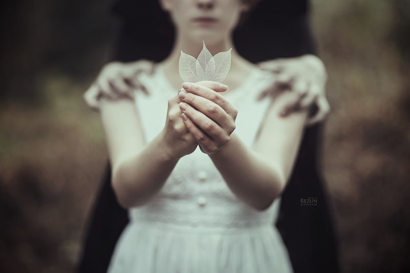 Another Story. Part 1 фото превью