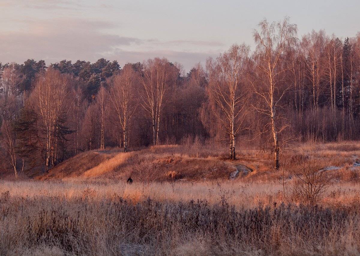 , Владимир Перепечаев