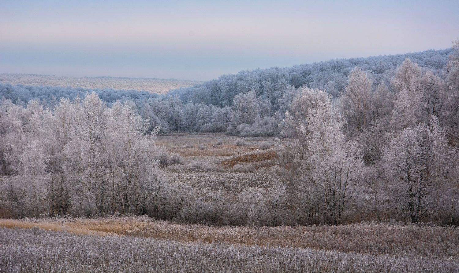 , Руслан Сигушин