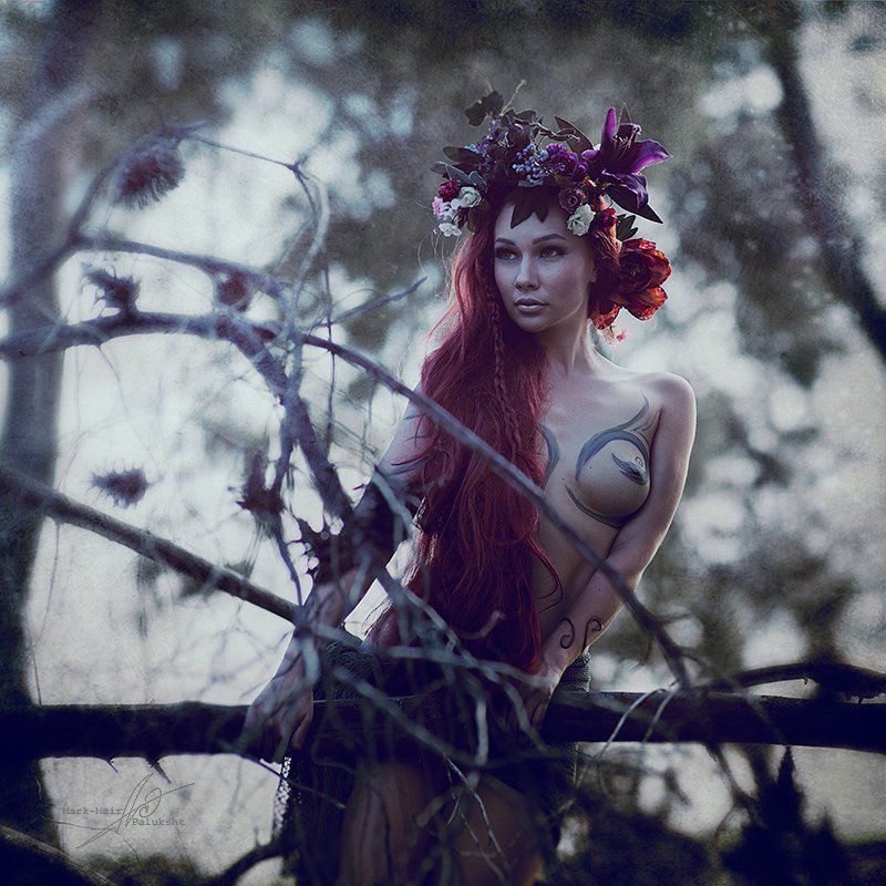 *** фото превью