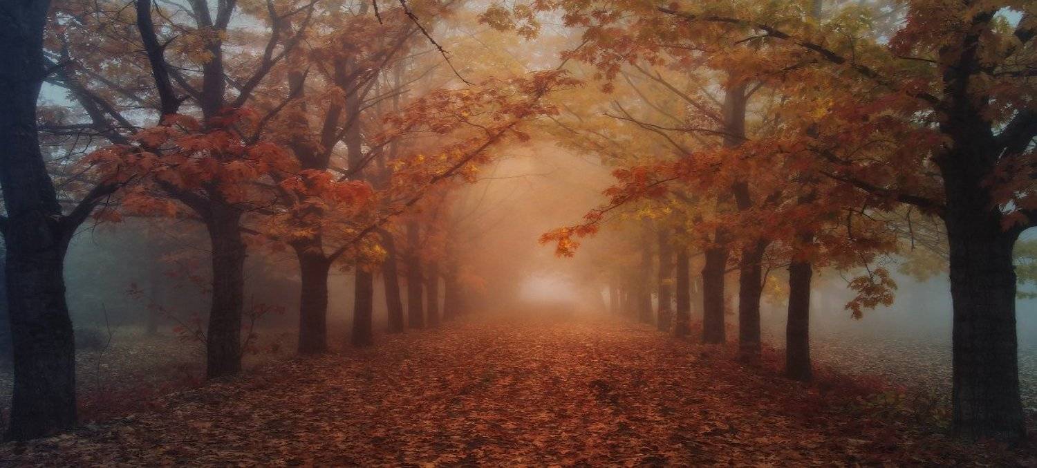 , Михаил  Пилипенко