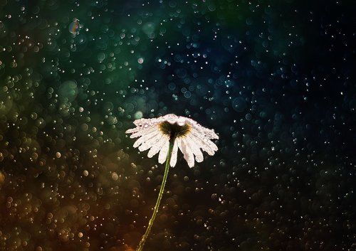 вглядываясь в...