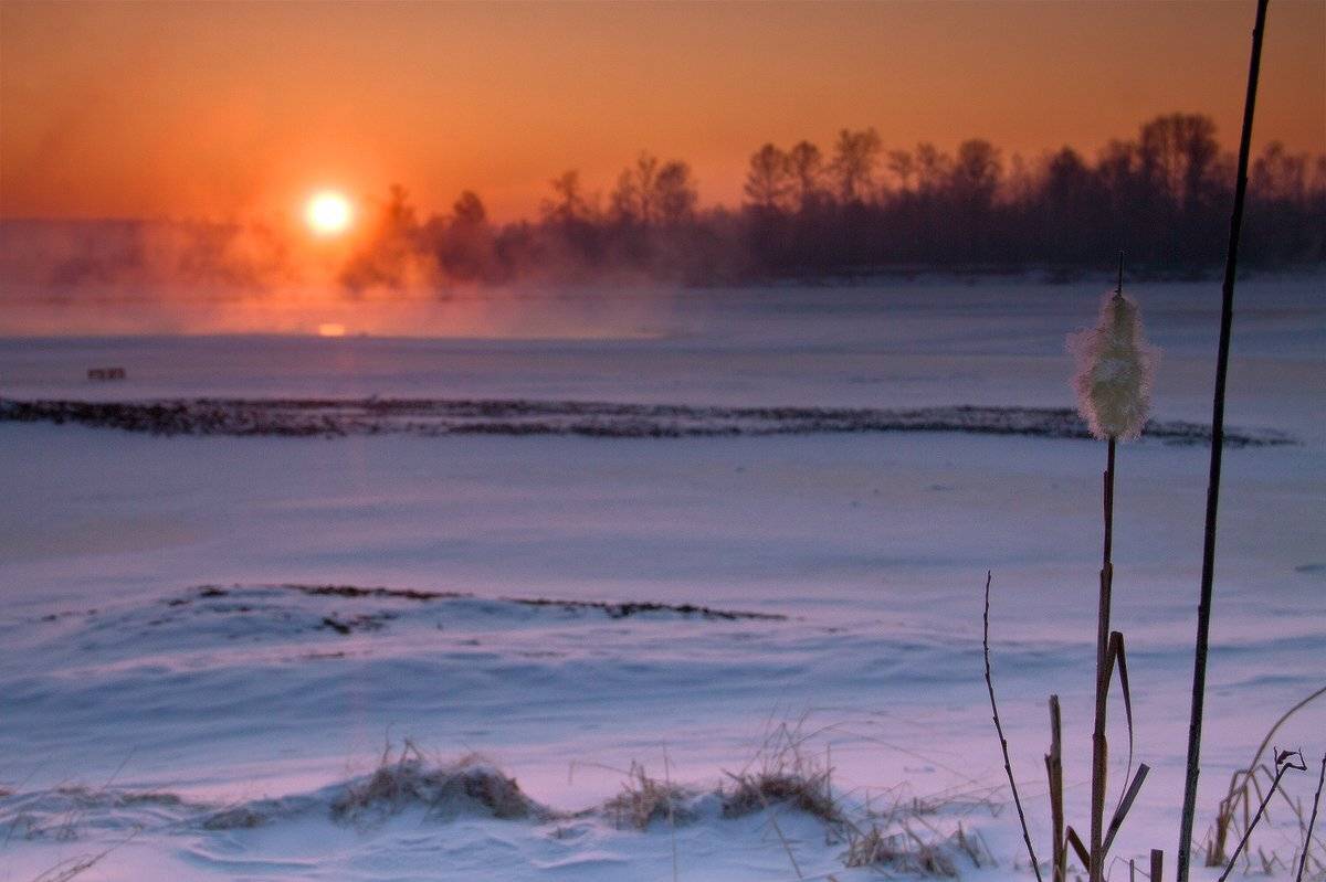 , Николай Морский