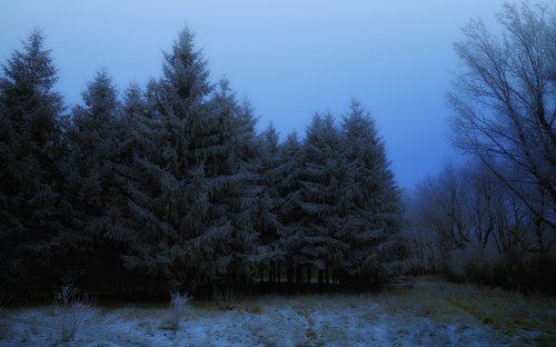 Голубые сумерки