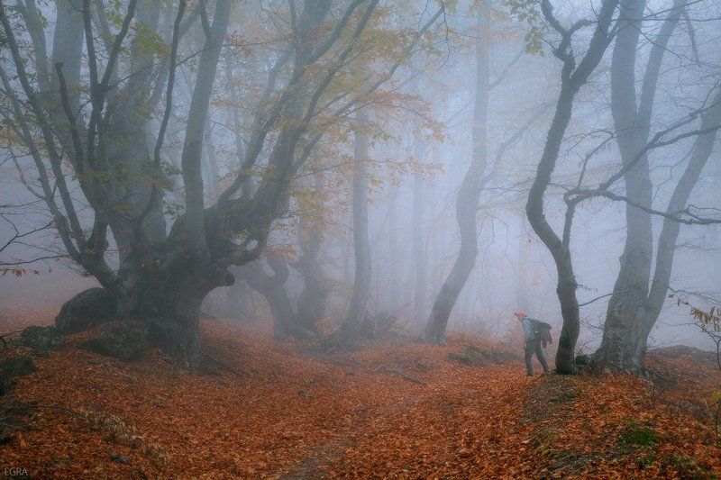 crimea, demirdji, fog, mist, демирджи, крым, туман водный мир Демирджи II фото превью