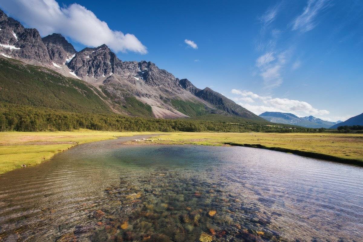 , Вейзе Максим