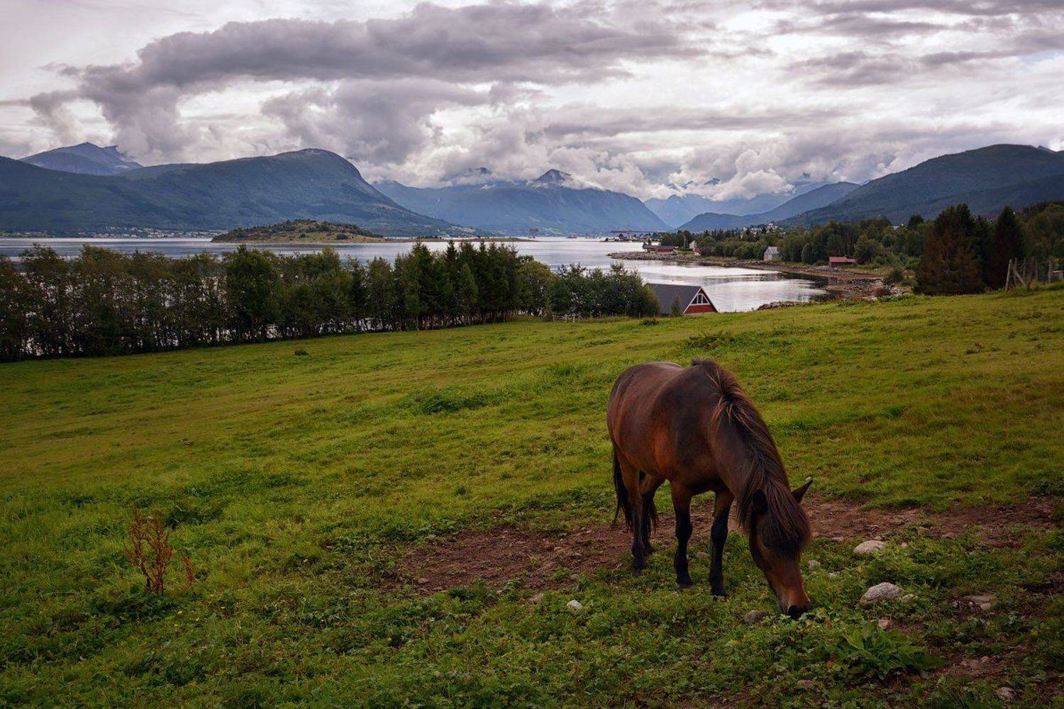 Норвегия, Марина Никифорова