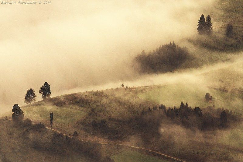 Kingdom Of Heaven IX фото превью