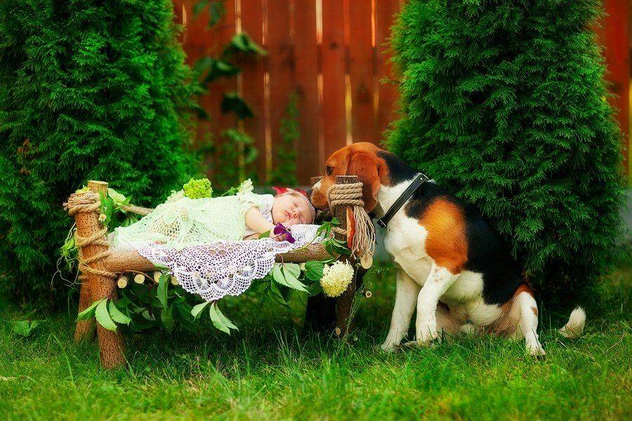 , Галина Арсёнова