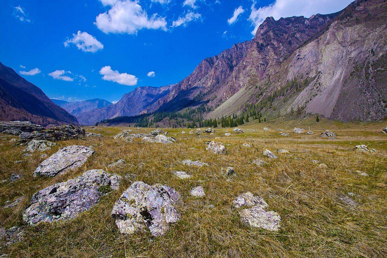 , Качурин Алексей