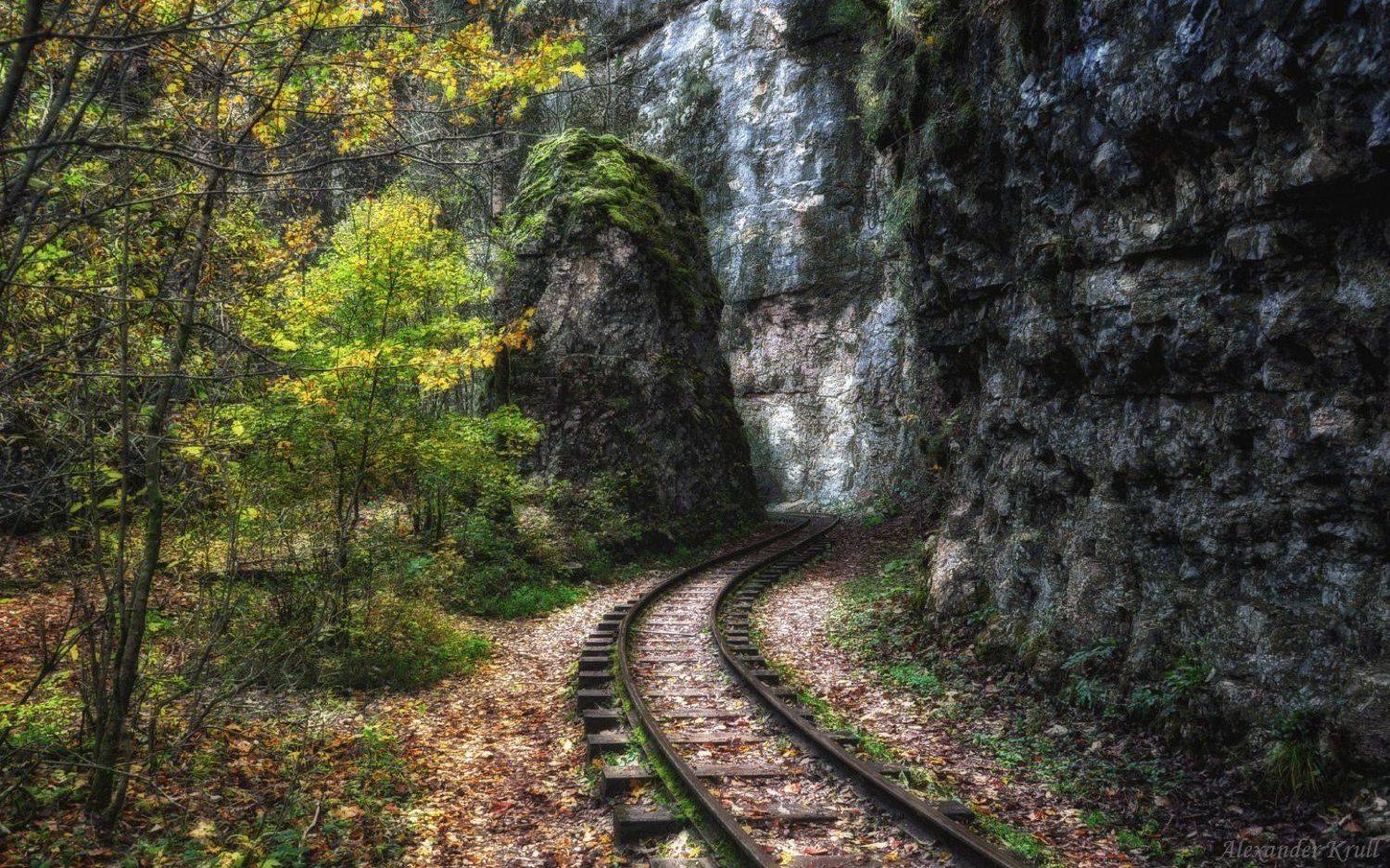 ржд, Александр Круль