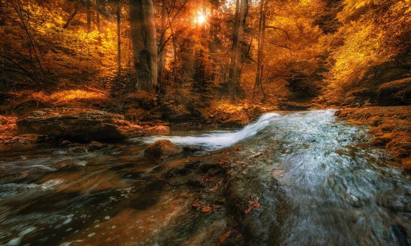 Вспоминая осень фото превью